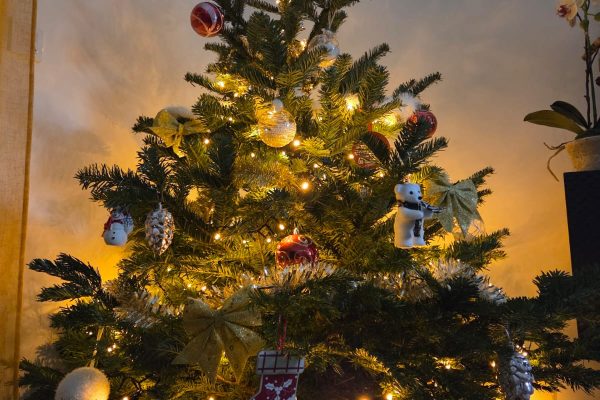 noel 2025 gite la seigneurie saumur