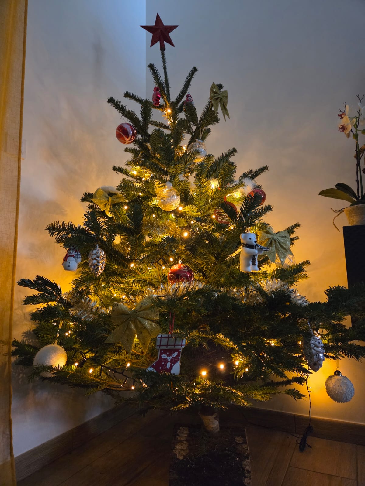 noel 2025 gite la seigneurie saumur